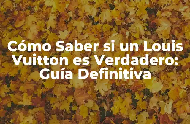 Cómo Saber Si un Louis Vuitton es Verdadero: Guía Definitiva