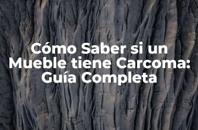 Cómo Saber Si un Mueble Tiene Carcoma: Guía Completa
