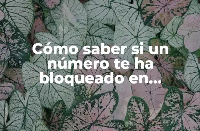 Cómo Saber Si un Número Te Ha Bloqueado en Whatsapp y Cómo Proceder 2 ¿Por qué es importante saber si alguien te ha bloqueado?