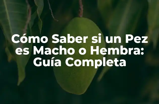 Cómo Saber Si un Pez es Macho o Hembra: Guía Completa