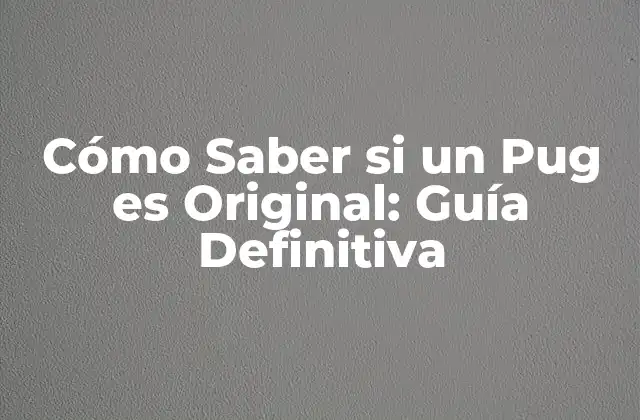 Cómo Saber Si un Pug es Original: Guía Definitiva