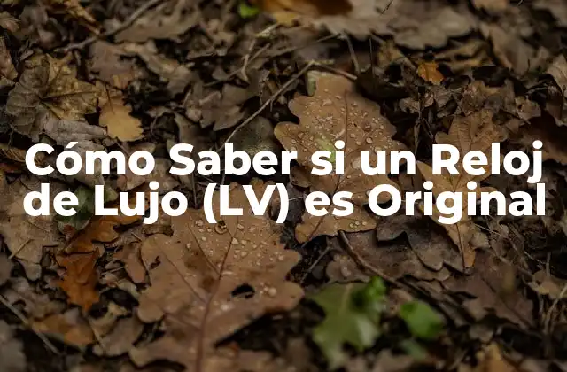 Cómo Saber Si un Reloj de Lujo (lv) es Original