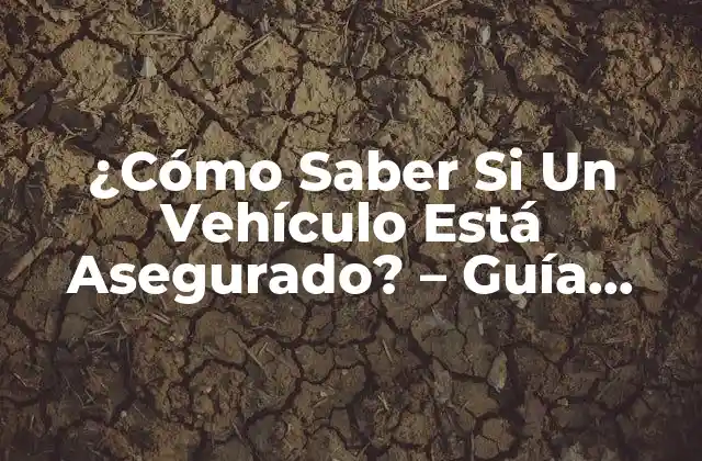 ¿cómo Saber Si un Vehículo Está Asegurado? – Guía Completa