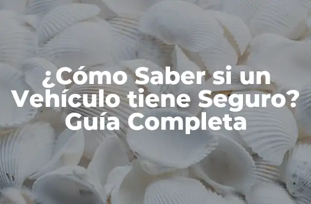 ¿cómo Saber Si un Vehículo Tiene Seguro? Guía Completa
