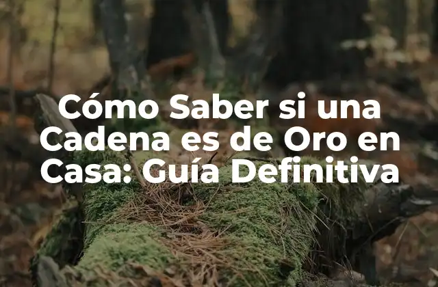 Cómo Saber Si una Cadena es de Oro en Casa: Guía Definitiva