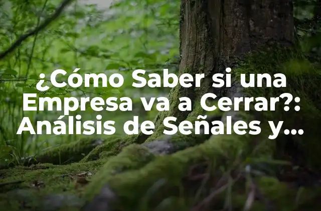 ¿cómo Saber Si una Empresa Va a Cerrar?: Análisis de Señales y Síntomas