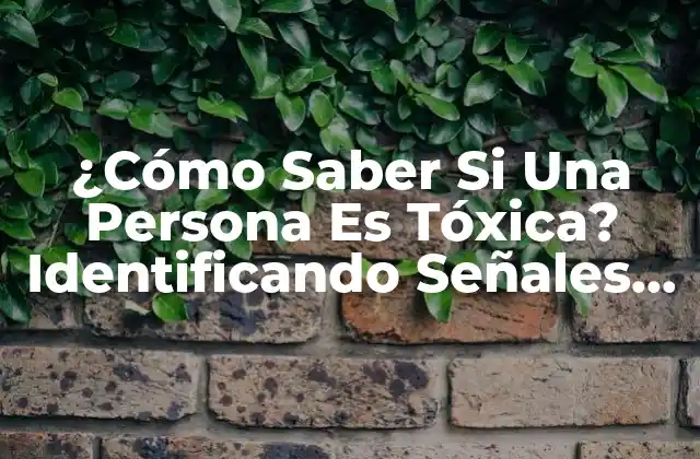 ¿cómo Saber Si una Persona es Tóxica? Identificando Señales de Toxicidad en las Relaciones