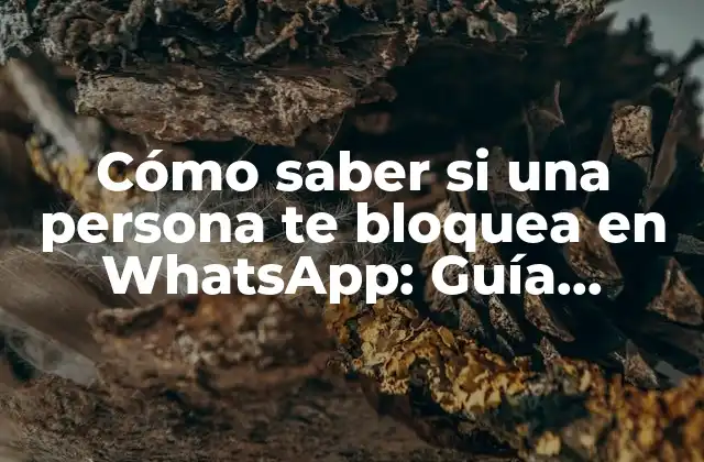 Cómo Saber Si una Persona Te Bloquea en Whatsapp: Guía Definitiva