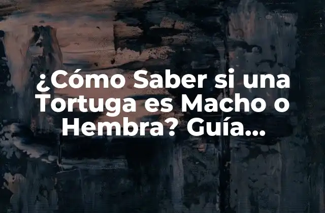 ¿cómo Saber Si una Tortuga es Macho o Hembra? Guía Completa para Identificar el Sexo de una Tortuga