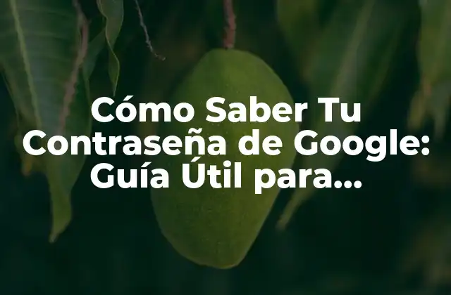 ¿Por qué es Importante Recordar Tu Contraseña de Google?