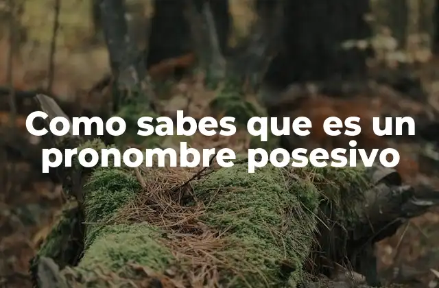 Como Sabes que es un Pronombre Posesivo