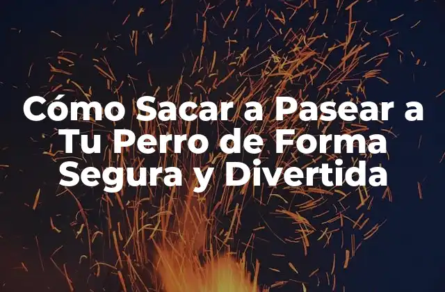 Cómo Sacar a Pasear a Tu Perro de Forma Segura y Divertida 2 Beneficios de Sacar a Pasear a Tu Perro