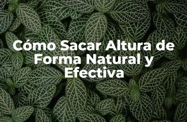 Cómo Sacar Altura de Forma Natural y Efectiva