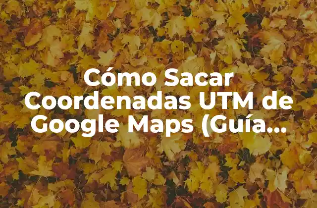 Cómo Sacar Coordenadas Utm de Google Maps (guía Paso a Paso)