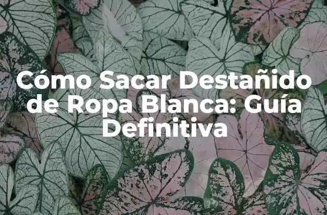 Cómo Sacar Destañido de Ropa Blanca: Guía Definitiva