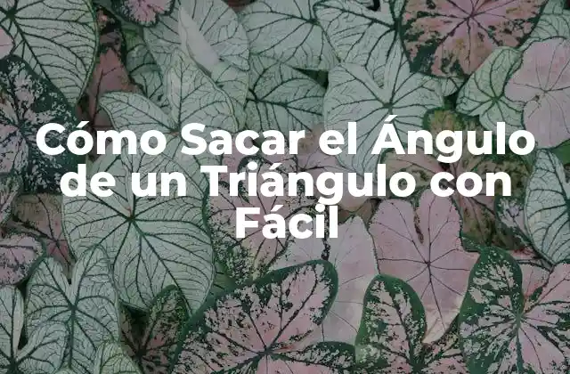 Cómo Sacar el Ángulo de un Triángulo con Fácil
