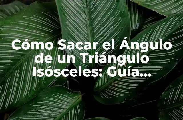 Cómo Sacar el Ángulo de un Triángulo Isósceles: Guía Detallada