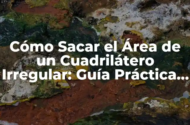 Cómo Sacar el Área de un Cuadrilátero Irregular: Guía Práctica y Detallada