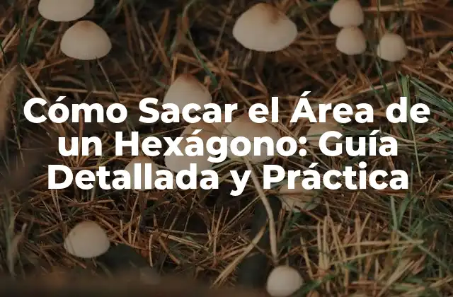 Cómo Sacar el Área de un Hexágono: Guía Detallada y Práctica