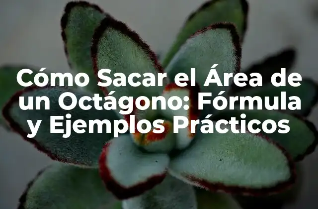 Cómo Sacar el Área de un Octágono: Fórmula y Ejemplos Prácticos