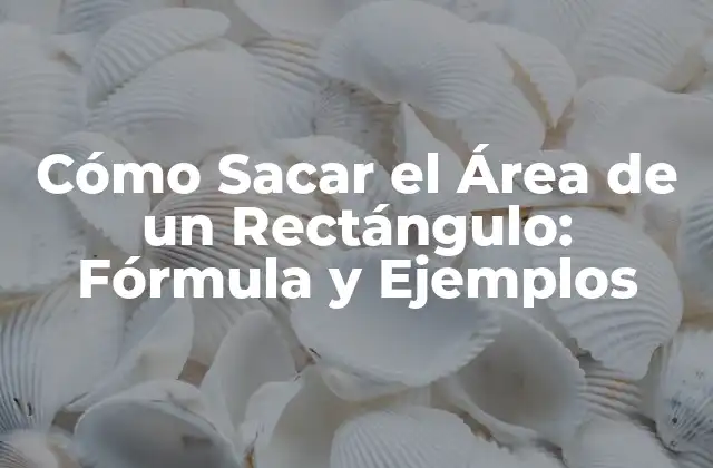Cómo Sacar el Área de un Rectángulo: Fórmula y Ejemplos