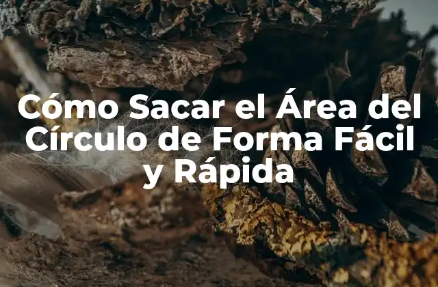 Cómo Sacar el Área Del Círculo de Forma Fácil y Rápida
