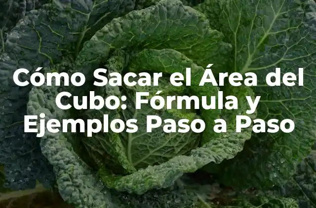 Cómo Sacar el Área Del Cubo: Fórmula y Ejemplos Paso a Paso