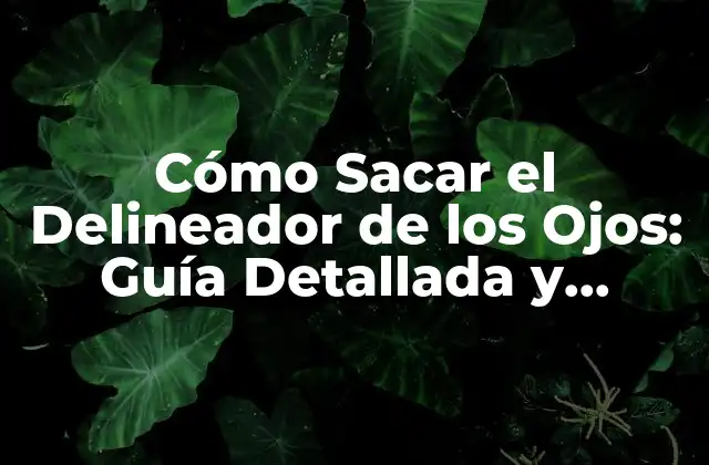 Cómo Sacar el Delineador de los Ojos: Guía Detallada y Completa