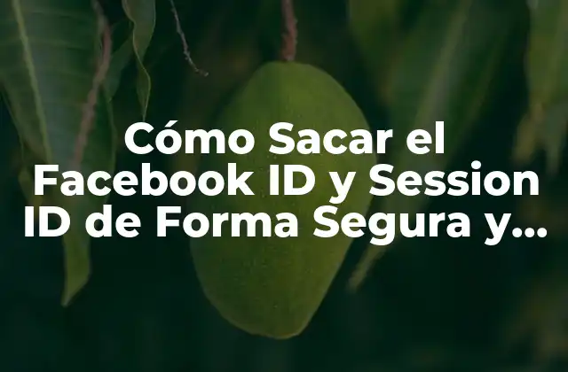 Cómo Sacar el Facebook Id y Session Id de Forma Segura y Ética