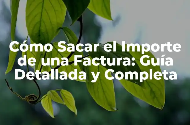 Cómo Sacar el Importe de una Factura: Guía Detallada y Completa 2 ¿Qué es el Importe de una Factura?