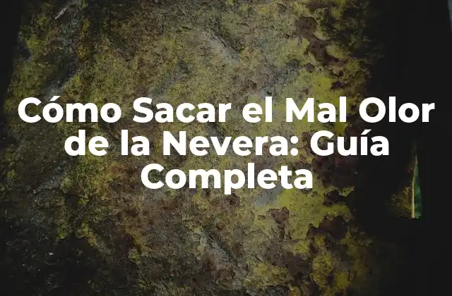 Cómo Sacar el Mal Olor de la Nevera: Guía Completa