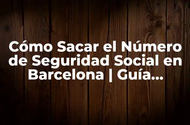 Cómo Sacar el Número de Seguridad Social en Barcelona | Guía Práctica