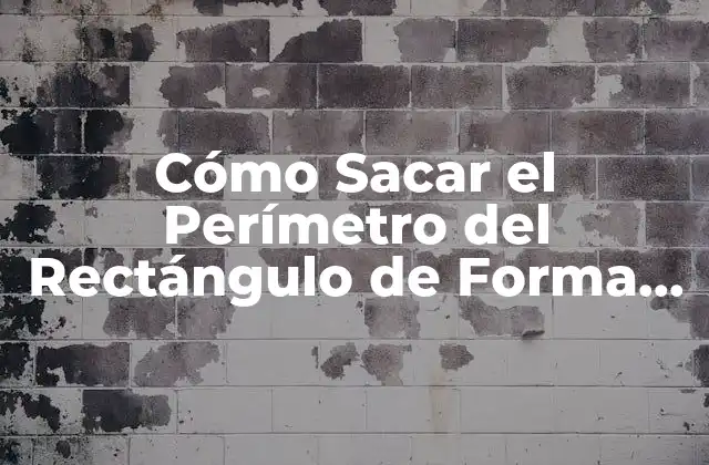 Cómo Sacar el Perímetro Del Rectángulo de Forma Fácil y Rápida 2 ¿Qué es el Perímetro de un Rectángulo?
