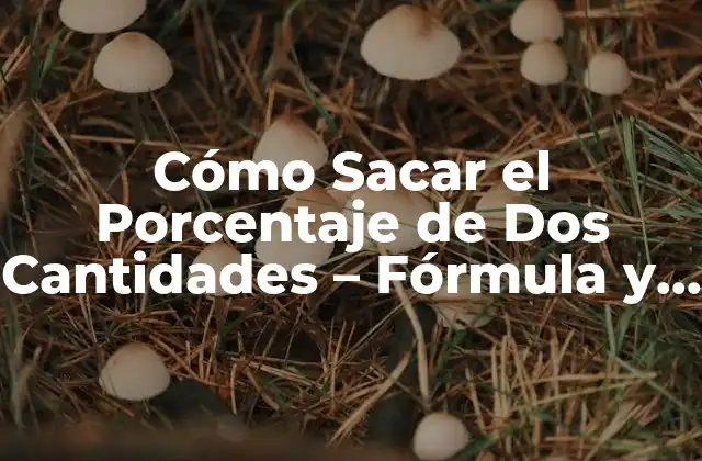 Cómo Sacar el Porcentaje de Dos Cantidades – Fórmula y Ejemplos