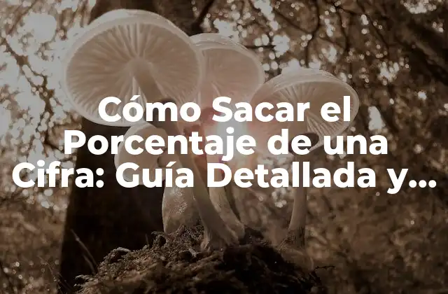 Cómo Sacar el Porcentaje de una Cifra: Guía Detallada y Completa
