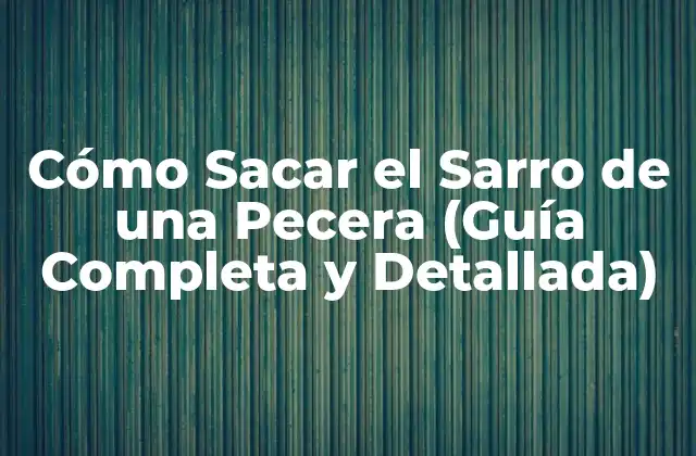Cómo Sacar el Sarro de una Pecera (guía Completa y Detallada)