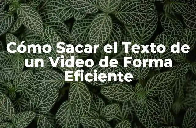 Cómo Sacar el Texto de un Video de Forma Eficiente