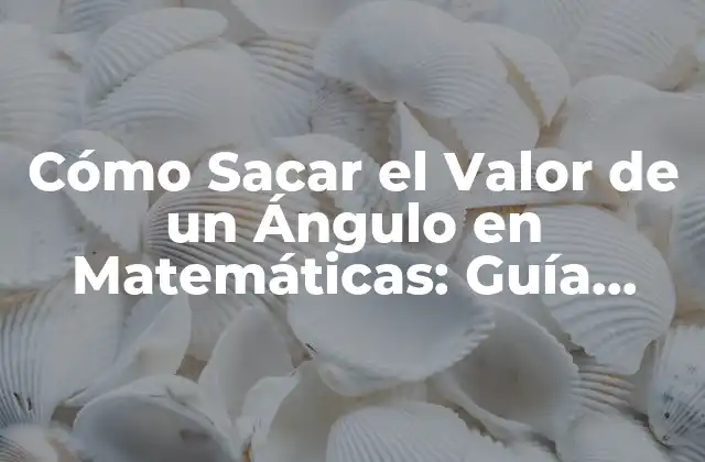 Cómo Sacar el Valor de un Ángulo en Matemáticas: Guía Completa