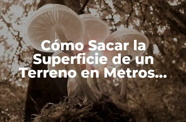 Cómo Sacar la Superficie de un Terreno en Metros Cuadrados