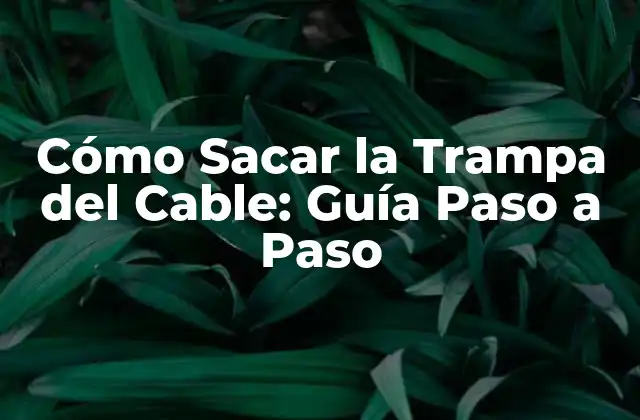 Cómo Sacar la Trampa Del Cable: Guía Paso a Paso