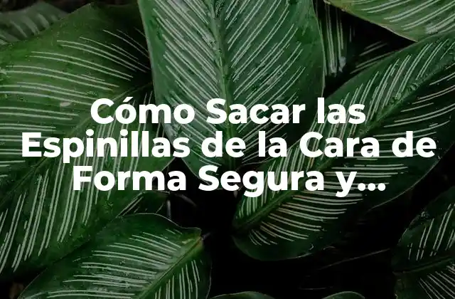 Cómo Sacar las Espinillas de la Cara de Forma Segura y Eficiente