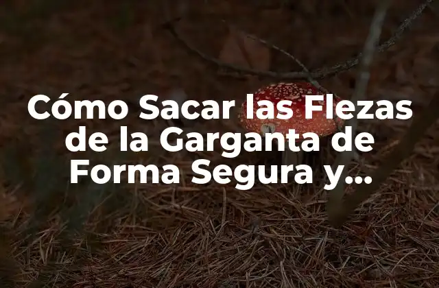 Cómo Sacar las Flezas de la Garganta de Forma Segura y Efectiva