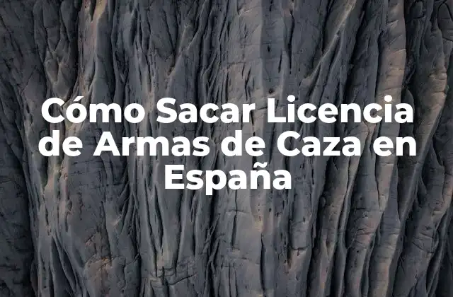Cómo Sacar Licencia de Armas de Caza en España