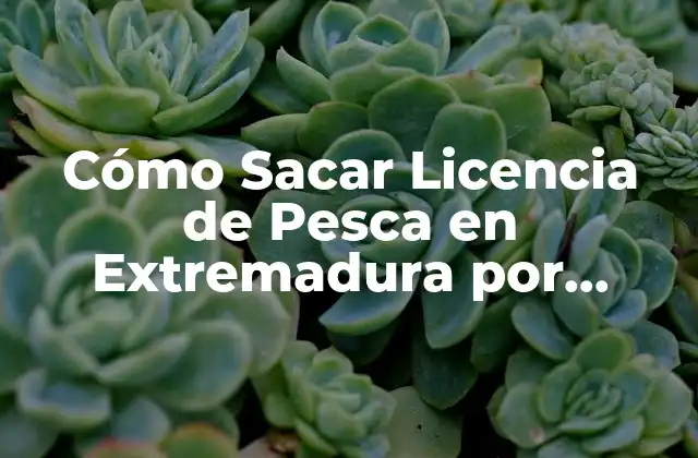 Cómo Sacar Licencia de Pesca en Extremadura por Internet 2 Requisitos para Obtener una Licencia de Pesca en Extremadura