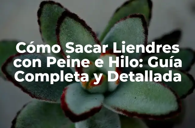 Cómo Sacar Liendres con Peine e Hilo: Guía Completa y Detallada