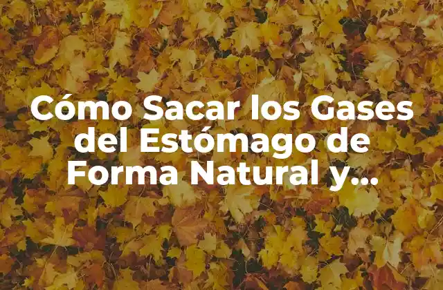 Cómo Sacar los Gases Del Estómago de Forma Natural y Efectiva