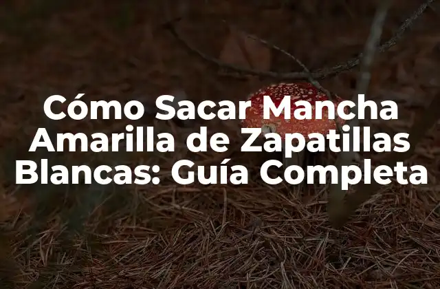 Cómo Sacar Mancha Amarilla de Zapatillas Blancas: Guía Completa