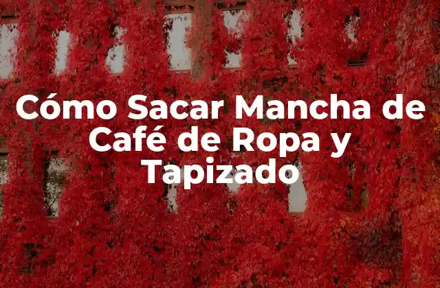 Cómo Sacar Mancha de Café de Ropa y Tapizado