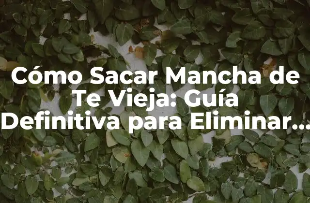 Cómo Sacar Mancha de Te Vieja: Guía Definitiva para Eliminar Manchas