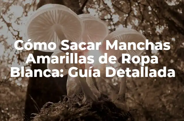 Cómo Sacar Manchas Amarillas de Ropa Blanca: Guía Detallada